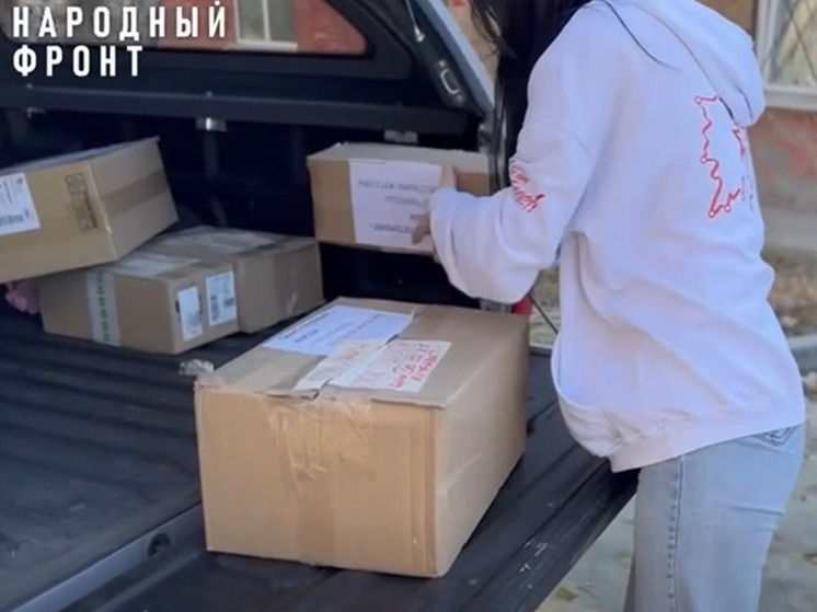 Народный фронт доставил медикаменты в Геническую больницу