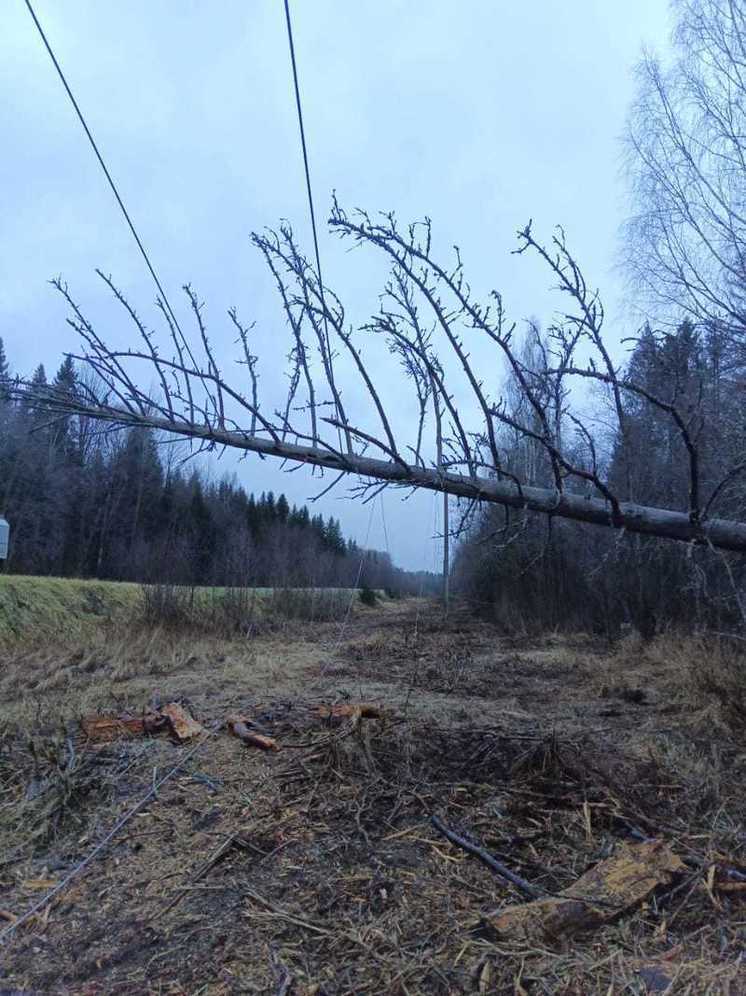 Из-за урагана девять районов Ивановской области остались без света