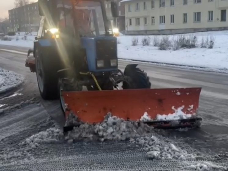 Власти Петрозаводска отчитались о борьбе с последствиями снегопада