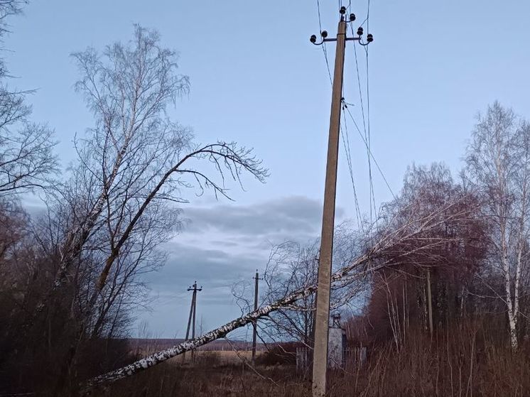 «Россети» ликвидируют последствия экстремальной непогоды в европейской части России