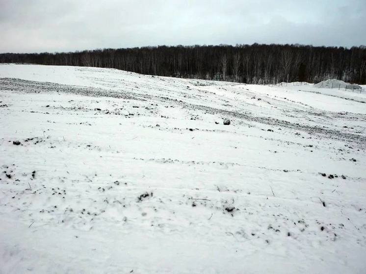 В Калининском районе Новосибирска ликвидировали несанкционированную свалку