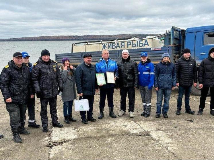 В Пензенской области продолжают восстанавливать водные биоресурсы