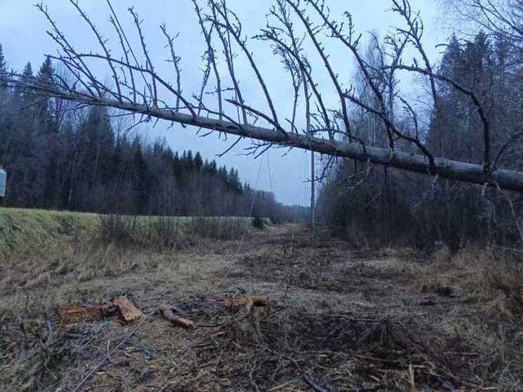 Костромские энергетики восстанавливают электроснабжение в 59 населенных пунктах