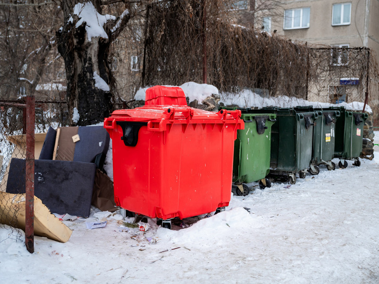 Брошенного на произвол судьбы домашнего ежа выходили в Озёрске