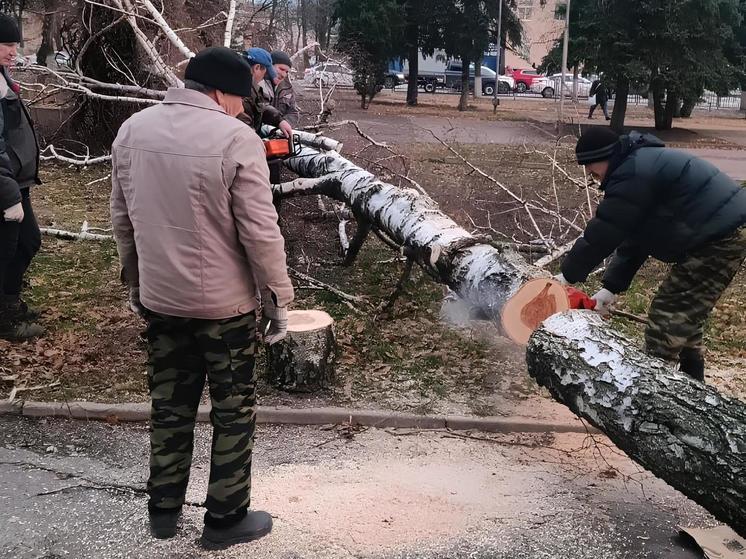 В Курске из-за шквалистого ветра без света временно остались жители 338 домов