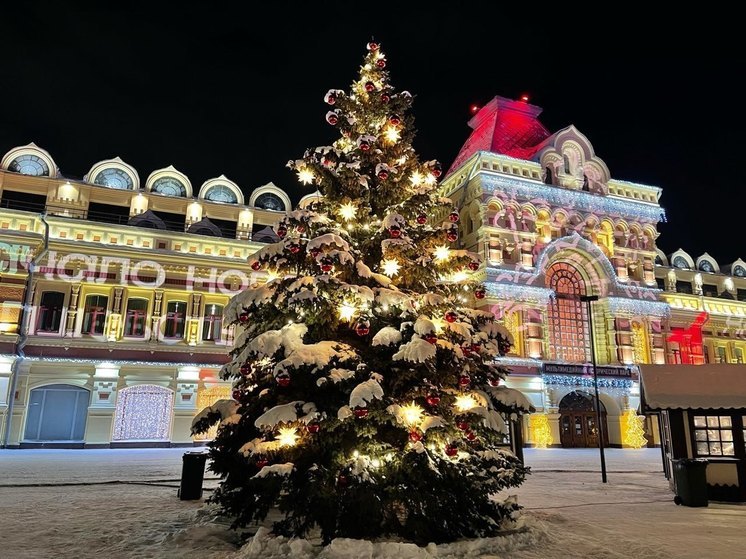 Нижегородские парки украсят к Новому году до 10 декабря