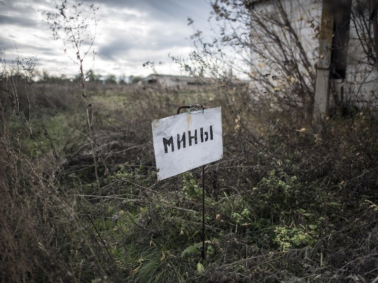 В курском приграничье автомобиль наехал на взрывное устройство, погибла женщина