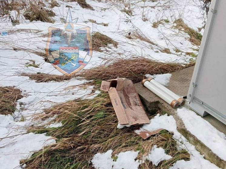 В ДНП в Ломоносовском районе обнаружились разбросанные патроны ламп, содержащих ртуть