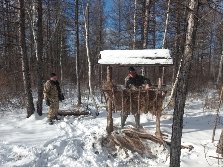 Сотрудники парка в Забайкалье подготовили сено и соль для животных