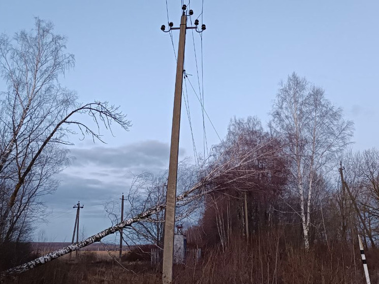 «Россети» ликвидируют последствия экстремальной непогоды в европейской части России