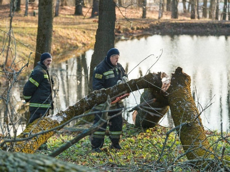 МЧС предупреждает туляков о сильном ветре в ближайшие часы