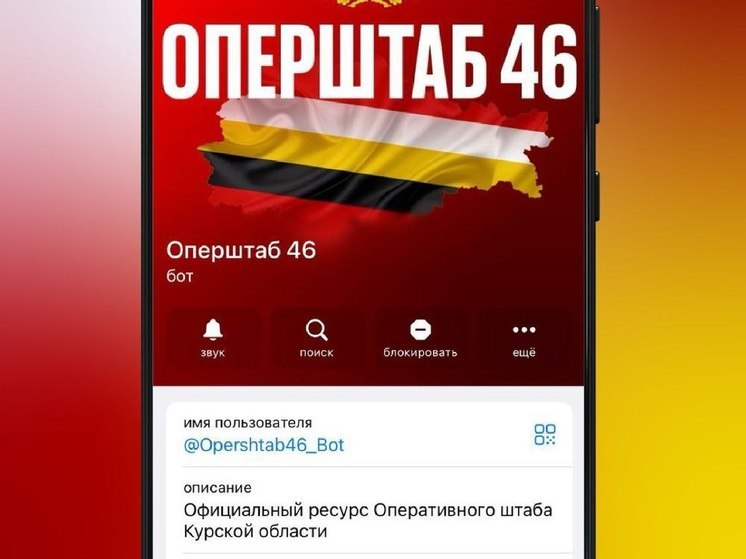 Специальным чат-ботом воспользовались более 6100 жителей курского приграничья