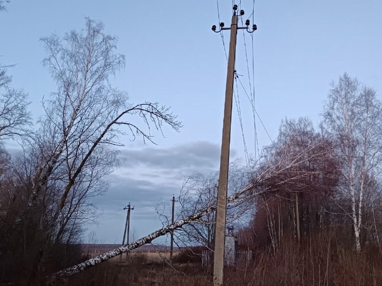 В Костромской области ожидается усиление ветра