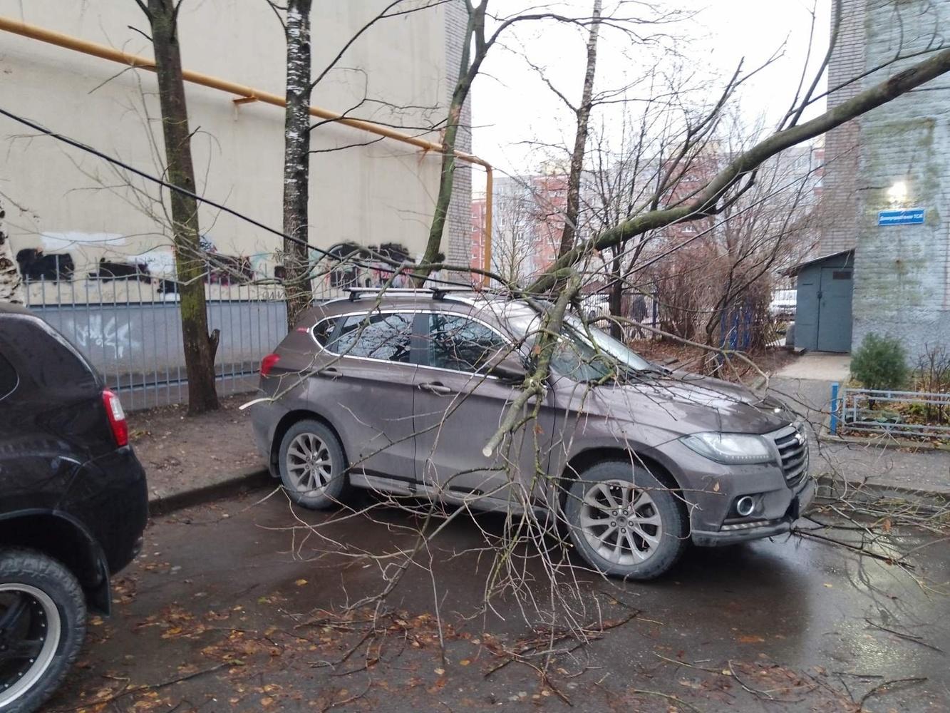 Во Владимире и Суздале устраняют последствия непогоды и сильного ветра