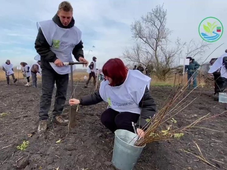 В Запорожской области высадили 1,5 тысячи саженцев акации в память о героях Отечества