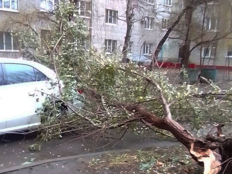 Тамбов оказался в плену сильного ветра: последствия непогоды и меры по восстановлению