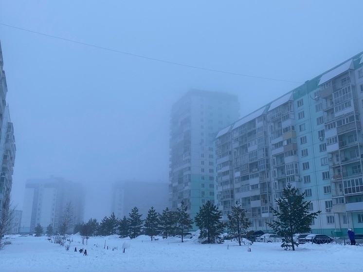 В Новосибирске на два дня объявят режим «черного неба»
