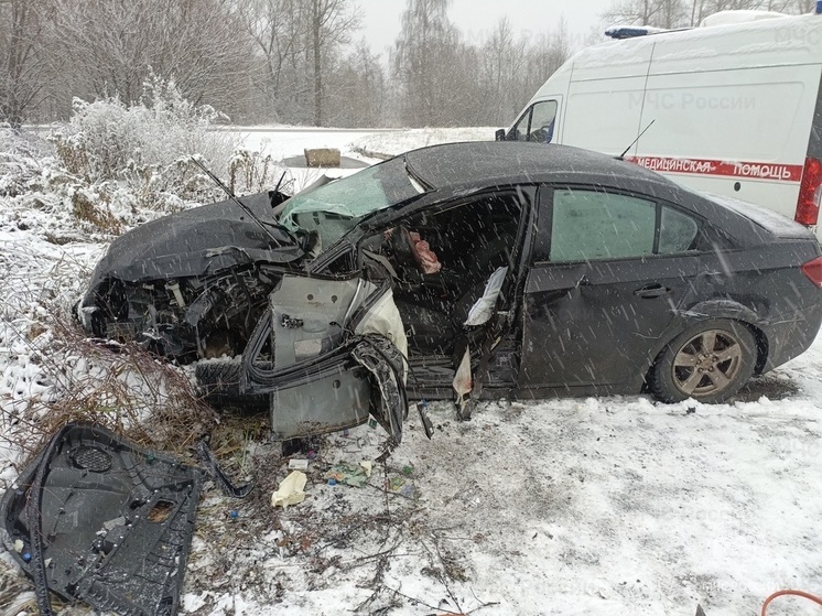 В Ярославской области произошло ДТП со смертельным исходом