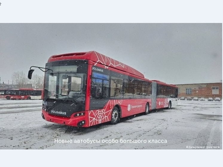 На пермские улицы выйдут автобусы-гармошки