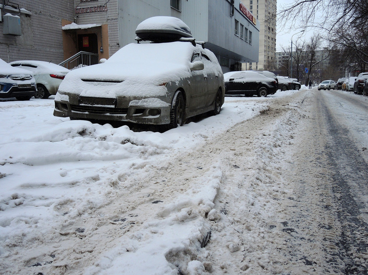 Январские сугробы заполонили Московскую область