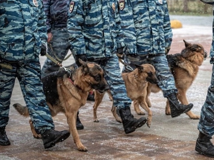 Штурм квартиры:  опубликовано видео задержания томича, выдававшего себя за сотрудника СК