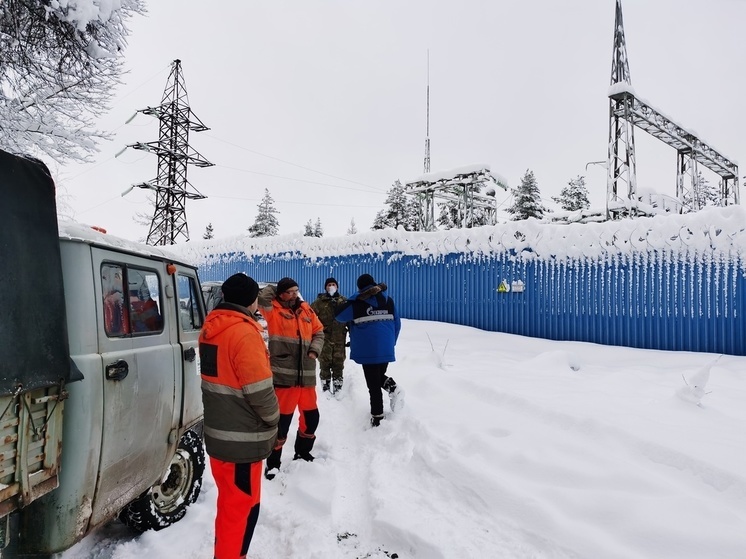 Добровольцы помогают найти обрывы проводов в Лахденпохском районе