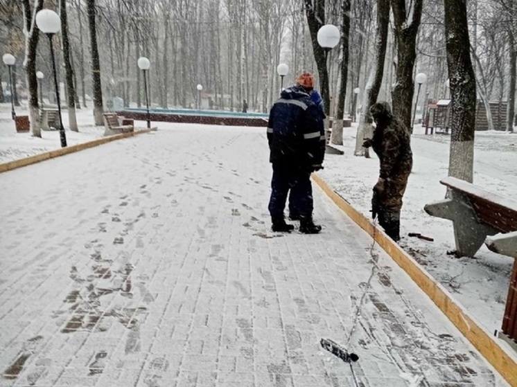 В Юбилейном парке Ярославля начали монтировать каток