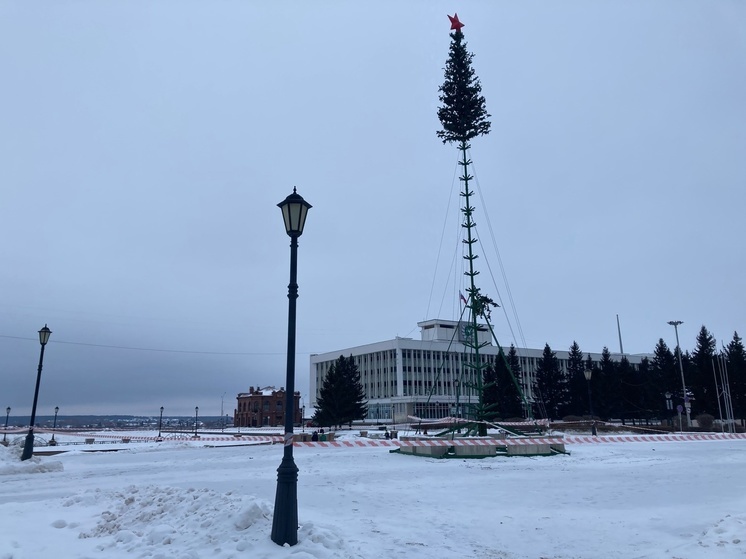 В Томске начали устанавливать новогодние ёлки