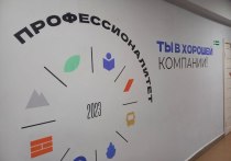 Работодатели в Забайкалье неохотно идут навстречу «Профессионалитету»