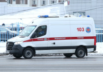 Под Петербургом при столкновении автобуса и фуры пострадали 11 человек, включая пятерых детей