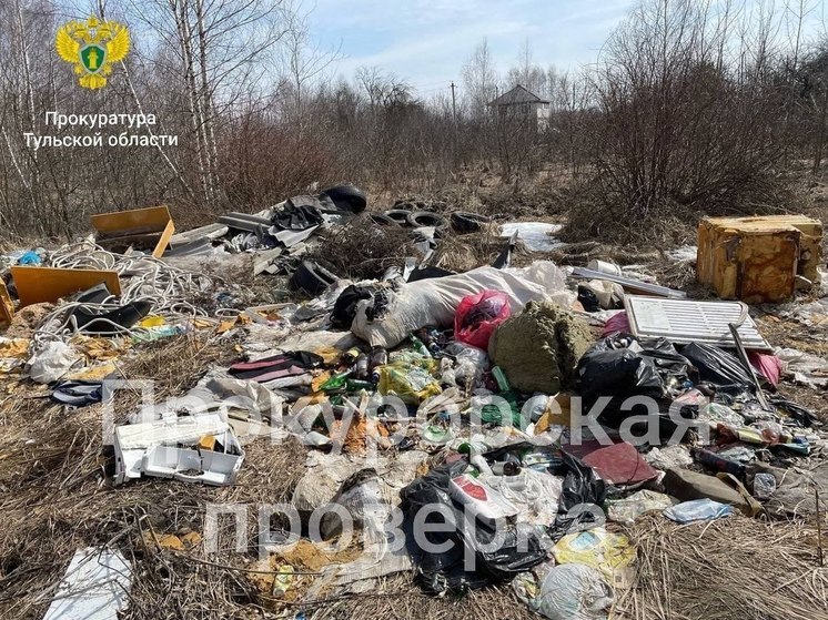 Власти Донского не обращали внимание на стихийные свалки в городе