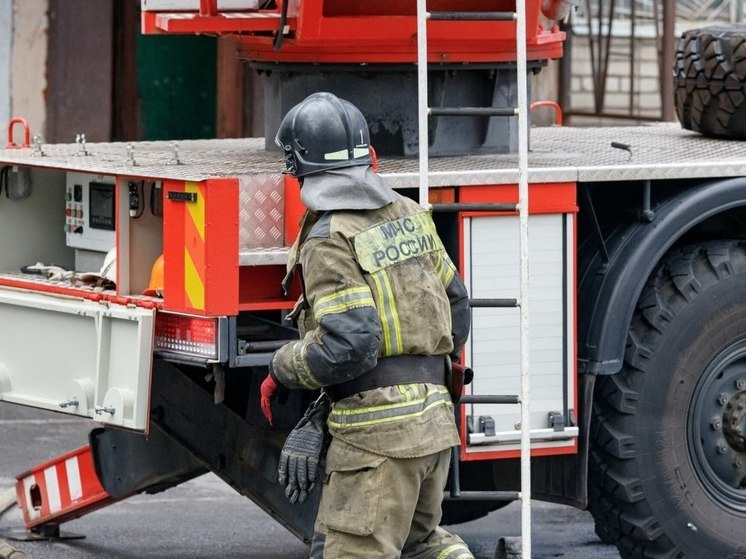 Женщина и мужчина пострадали при пожаре в Островском районе