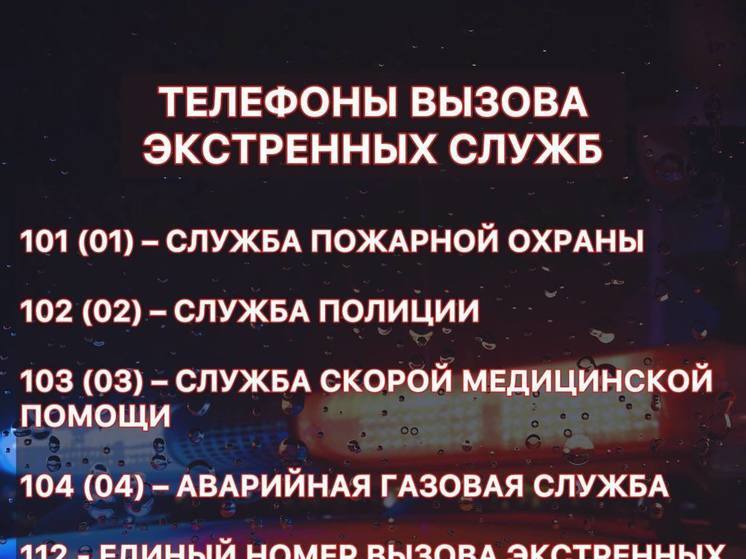 Телефоны, спасающие жизнь. Куда и когда звонить псковичам в случае беды