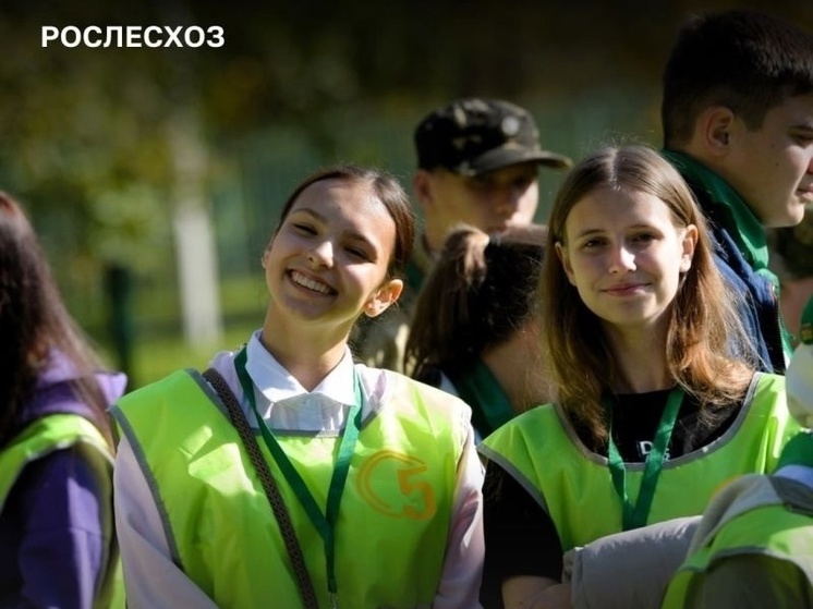 Костромские школьные лесничества стали победителями всероссийского конкурса