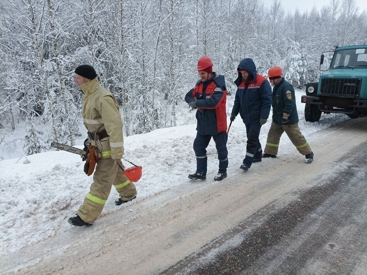 В какие населенные пункты под Тверью в ближайшее время вернется свет