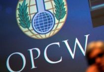 Российская сторона передала Организации по запрещению химического оружия (ОЗХО) не менее 30 нот, которые подтверждают применение Украиной запрещенных химических веществ