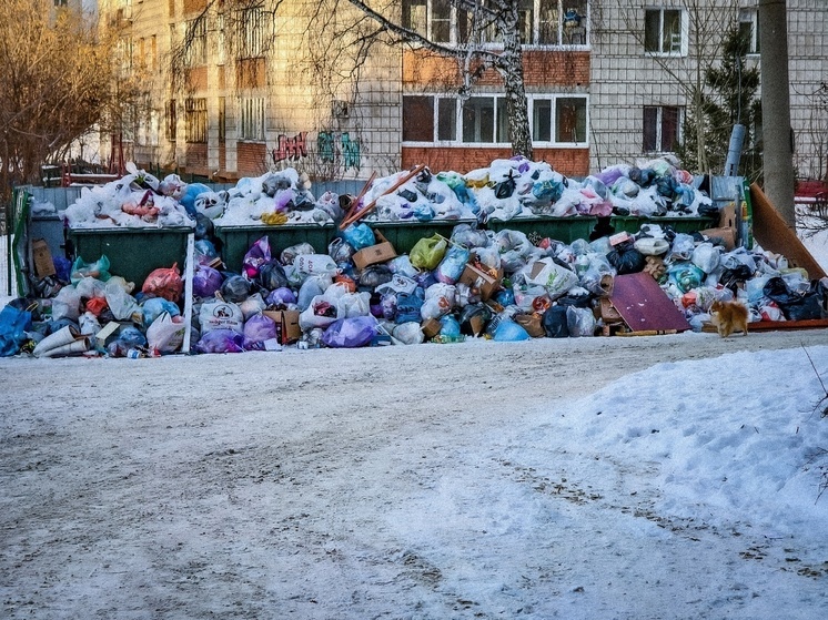 В Томске пожарные трижды за сутки выезжали на тушение мусора