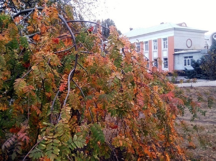 Пасмурно и до −3°С ожидается в Нижнем Новгороде 26 ноября