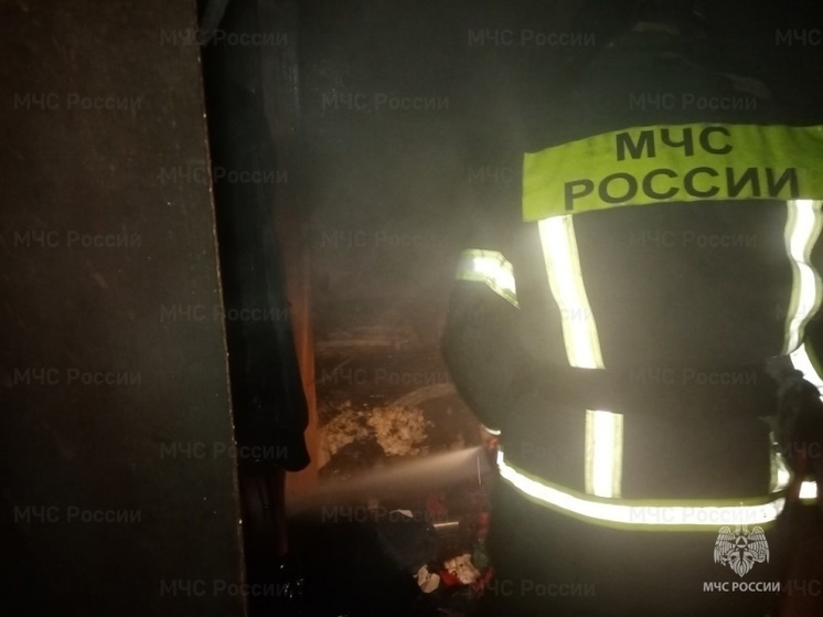 В Дмитровском районе едва не сгорел частный дом