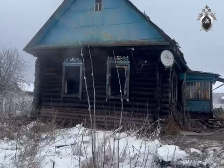 В Пензенской области в пожаре погиб мужчина