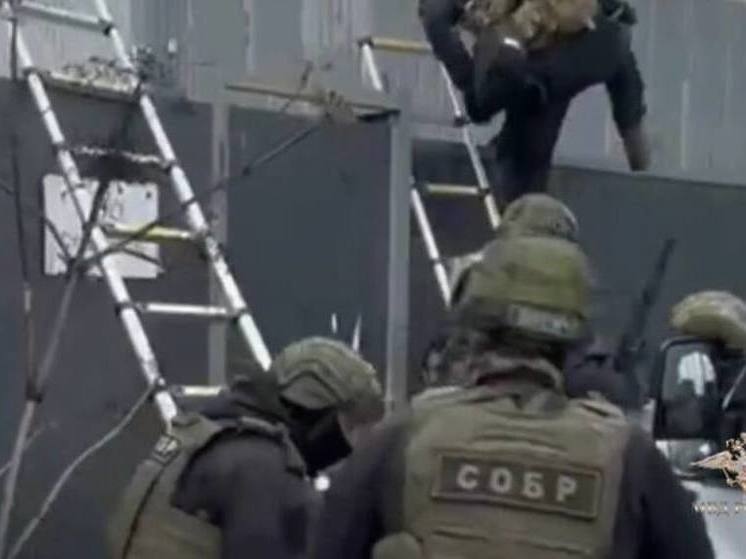 Полиция нашла 500 килограмм наркотиков в ангарах под Петербургом