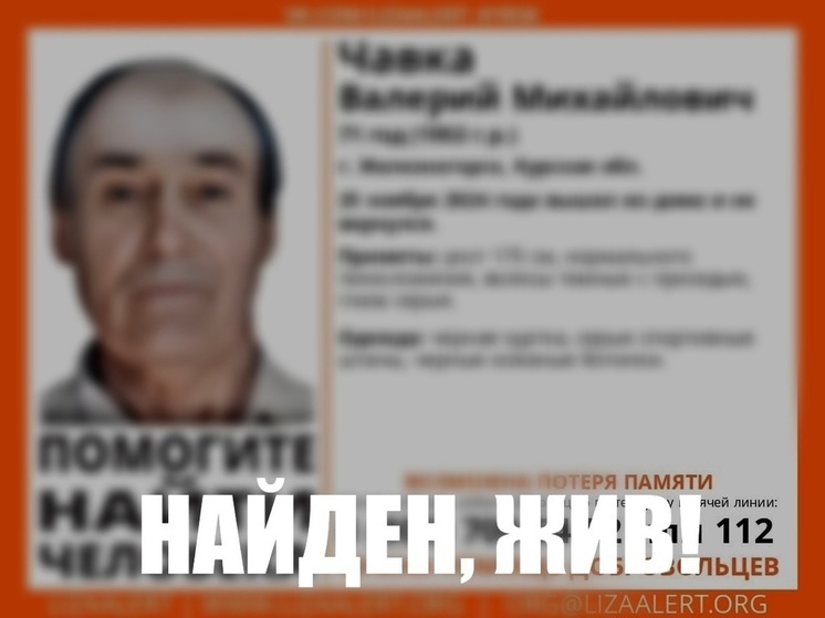 Стала известна судьба пропавшего в Курской области пенсионера