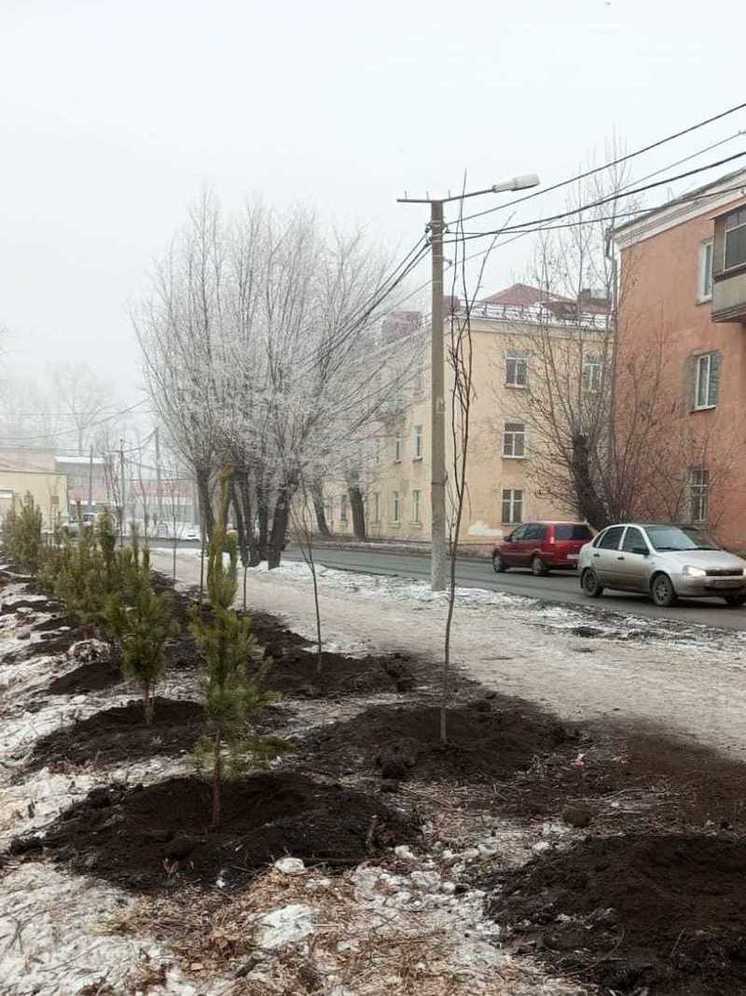 Мэр Омска Шелест сообщил о завершении осенних посадок в городе