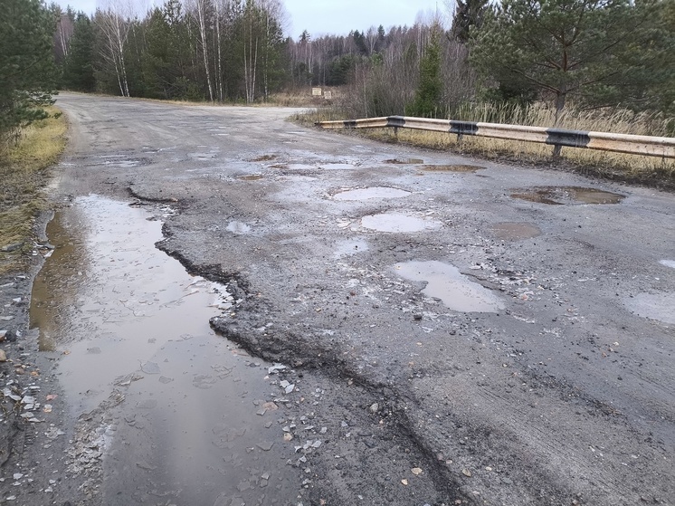 Жители возмущены состоянием дороги в Лежневском районе