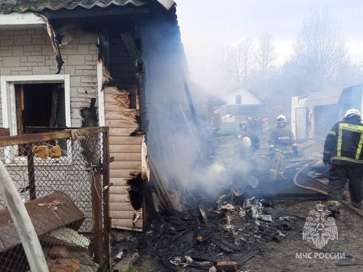 Спасатели потушили пожар в Трубичино, который угрожал уничтожить жилые дома