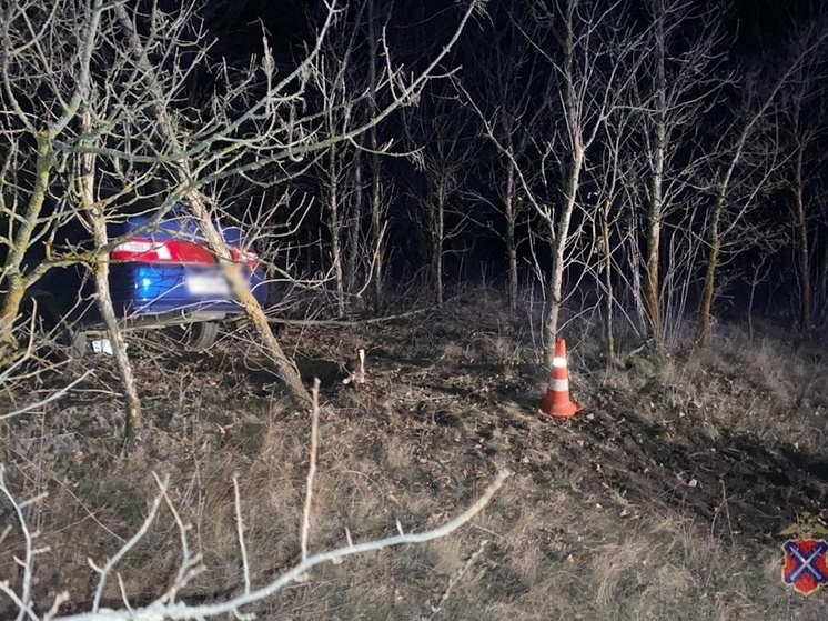 ВАЗ под Волгоградом вылетел в кювет и врезался в дерево – пострадал водитель