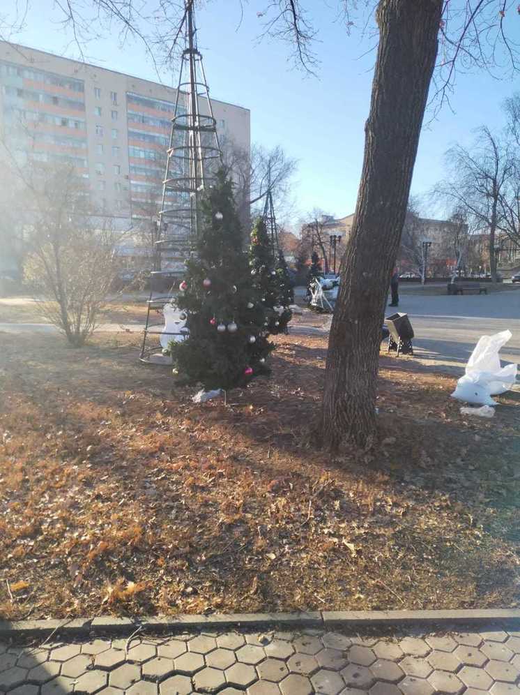 В центре Оренбурга начали устанавливать ёлки