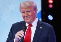 Победа республиканца Дональда Трампа на президентских выборах в США посеяла панику среди сотрудников Североатлантического альянса