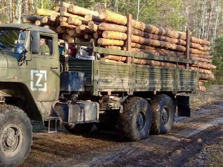 Тепло и надежность из Липецкой области: лес для бойцов СВО