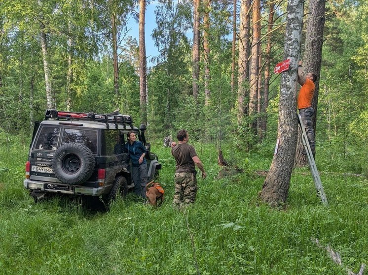 В Томской области в 2024 году поисковики отряда "ЛизаАлерт" установили более 30 стрелок-указателей